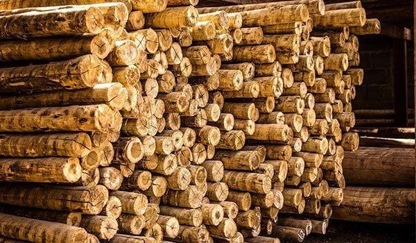 madeira de eucalipto para vigamento