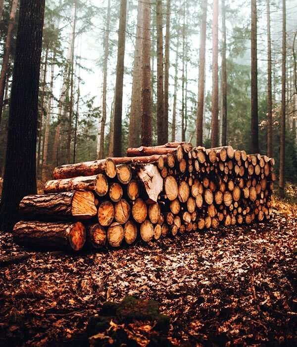 madeira de procedência legal e de acordo com a legislação ambiental